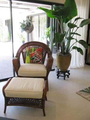651-Fiesta Palms Chair and Pillow